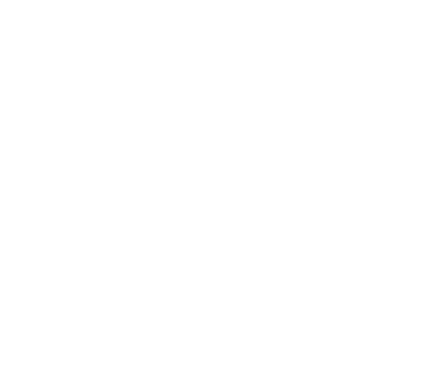 Surge Logo